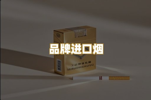 品牌进口烟